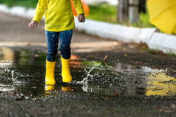 a little girl in yellow clothes and rubber boots runs merrily through the puddles after the rain in...