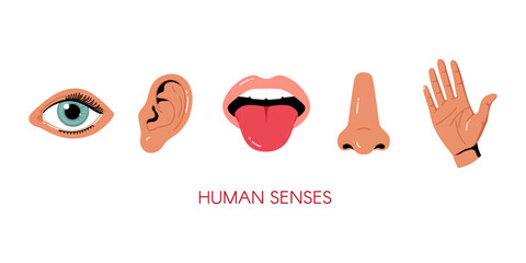 Five senses vector illustrations. Taste, sight, touch, smell, hearing. Eye, hand, mouth, tongue, ear, nose. Human senses organ set