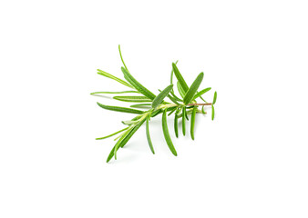 Fresh Rosemary Twig, Romarin Sprig Isolated
