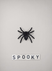 Spooky. Halloween Composition with Big Black Hairy Spider on a Light Gray Background. Halloween Flat Lay. Top View Composition ideal for Card, Banner, Flyer. 
