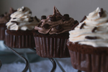Cupcake for party and pastry, chocolate
