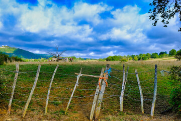 Fototapeta na wymiar Old, makeshift fence of weathered sticks and barbed wire at a pasture with cattle under a threatening sky with thunderclouds in the Morvan, Burgundy, France 