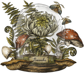 Vintage hand drawn birth month flowers, Chrysanthemum flower, November magic floral illustration