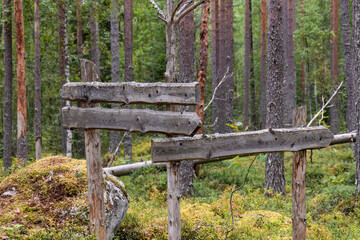 Naklejka premium Empty old wooden signpost in a forest with pine trees in the background