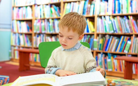 A little boy in the library is leafing through a children's picture book with interest. The child is drawn to knowledge. 