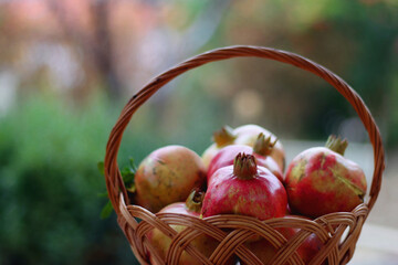 Basket of picked pomegranates in the garden. Selective focus.