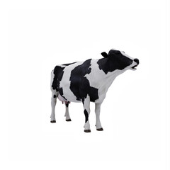 Cow isolated