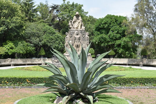Agave Plant with Historical Mexican Sculpture in Background, Chapultepec Park