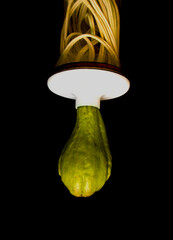 Green energy electrical cables and light bulb socket, with tayota