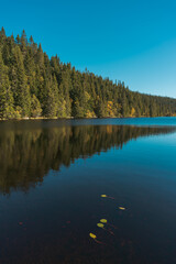 Big Svartdalstjern Lake of the Totenaasen Hills with water lilies in autumn.