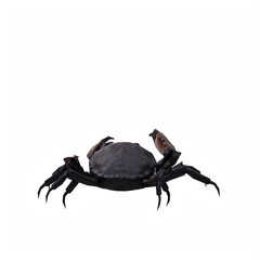 Crab