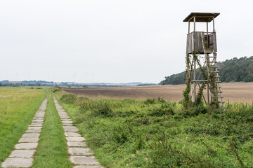 Tree stand at the edge of a forest and a freshly plowed field. Passow, Uckermark district, in...