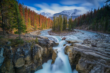 Sunwapta Falls is a pair of waterfalls of the Sunwapta River located in Jasper National Park, Alberta, Canada.  - obrazy, fototapety, plakaty