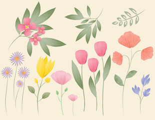 Pastel color flowers set in watercolor style