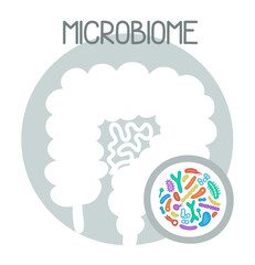 Human microbiome illustration with intestines and bacteria Vector picture. Gastroenterologist. Bifidobacteria, lactobacilli. Lactic acid bacteria.