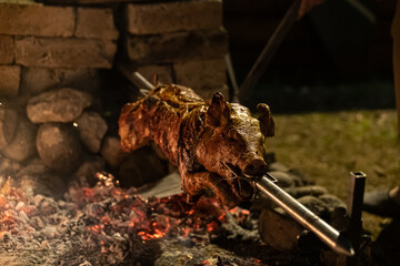 Roasting a Whole Pig on a Spit, suckling pig on the spit