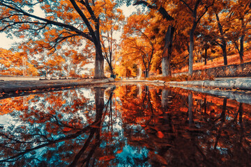 Reflection of autumn trees and street in a puddle. Illustration