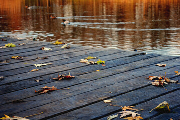 autumn in the park