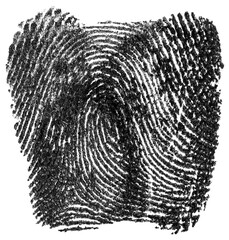 Black ink fingerprint isolated on a white background. Real fingerprint, top view.