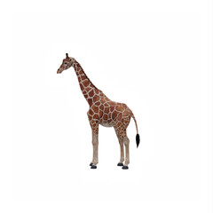 Naklejka premium Giraffe
