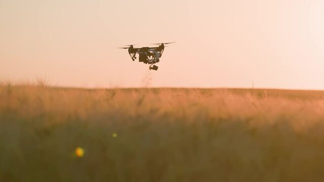 High-tech innovation in agriculture. Drone flying over farmland during sunset. Quadcopter on rural background. Technologies in farming. Industrial agriculture. Outdoor, rural view. Summer