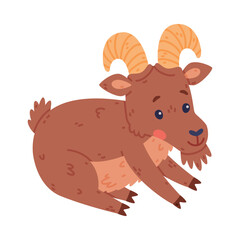 Sitting Urial Character as Wild Mountain Sheep with Horns Vector Illustration
