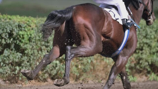 Horse racing at summer racetrack on dirty ground in old hippodrome. Close up of Riders on horses racing at super slow motion filmed on Nikon z9 high quality camera