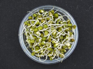 Sprouted mung beans in a bowl 