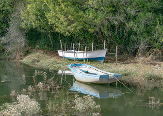 Naklejka na ściany i meble White and blue boats are on the shore of a river next to the vegetation, where the water reflects its colors, a picturesque place.