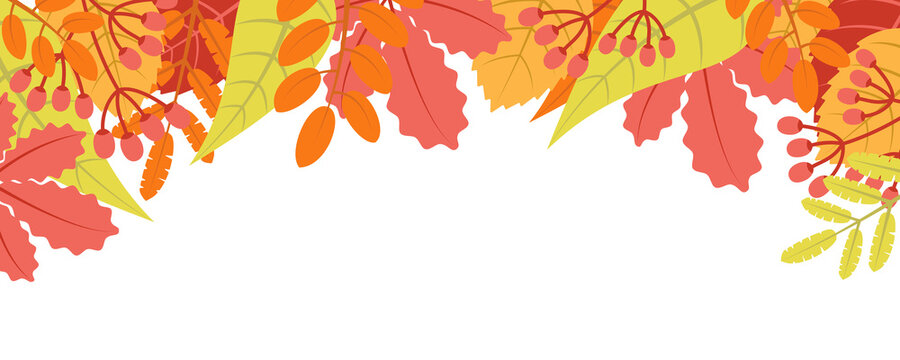 Autumn nature background with leafage pattern concept. Horizontal web banner with fall leaves and berries elements. Decorative forest plants border. Illustration in flat design for website.