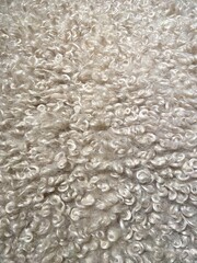 Closeup view of Grey Astrakhan Caracul background. Lamb fur texture. Background for designers.