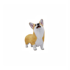 A Pembroke Welsh corgi dog, full body, isolated on white