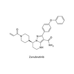 Zanubrutinib molecule flat skeletal structure, Tyrosine kinase - BTK inhibitor used in Mantle cell lymphoma Vector illustration on white background.