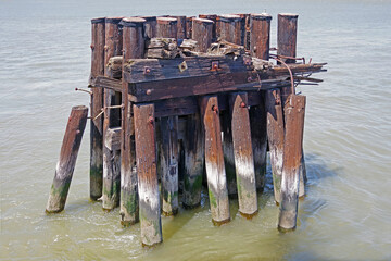 Wooden mooring dolphin structure in the water of a harbor