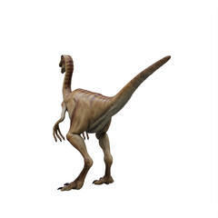 gallimimus dinosaur