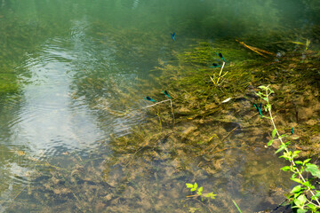 Iskar Panega Geopark along the Gold Panega River, Bulgaria