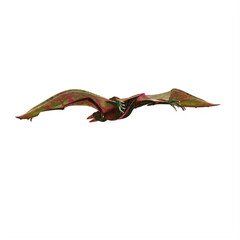 Pterodactylus dinosaur isolated on white background © onay