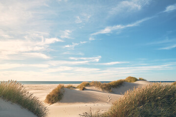 Beautiful natural beach in northern Denmark. High quality photo - obrazy, fototapety, plakaty