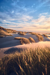 Sunset at the wild Dunes of northern Denmark. High quality photo - obrazy, fototapety, plakaty