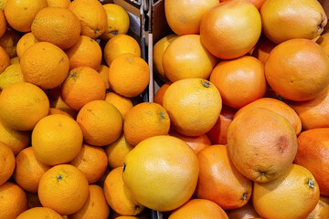 Oranges, tangerines, grapefruit. A lot of fruits.