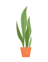 Home plant icon. Large leaves and green flower in pot. Interior element, decor for apartment, office and cafe. Graphic element for website. Gardening and floristry. Cartoon flat vector illustration