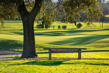 Golf Bench Under an Oak Tree