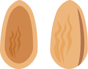 peanuts icon