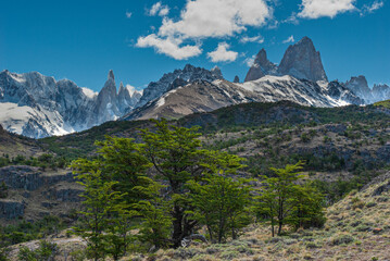 Argentina, Patagonia. Green trees contrast with the high alpine of Fitzroy and Cerro Torre