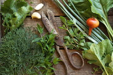 Flat lay composition with different herbs and rusty scissors on wooden table