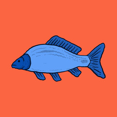 Fish Illustration hand drawn cartoon colorful vintage style vector