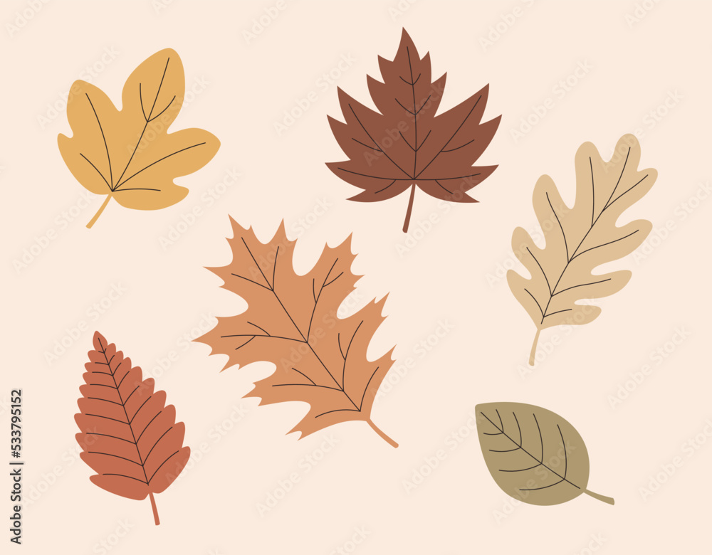 Wall mural autumn leaves collection vector scalable colorful leaf illustrations strokes graphic resources uniqu
