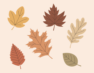 autumn leaves collection vector scalable colorful leaf illustrations strokes graphic resources unique shapes