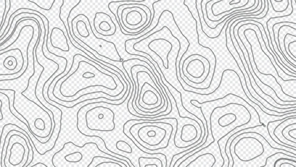 Gray topography contour lines map isolated on a transparent background. The concept of a conditional geography scheme and the terrain path. Vector illustration.