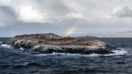 wildlife over the island in the beagle channel with a rainbow